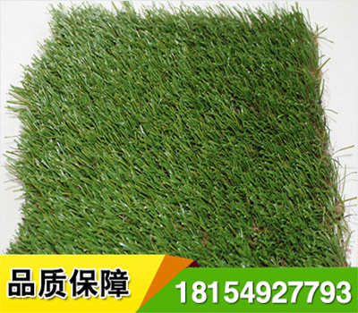 足球場(chǎng)人造草坪施工前瀝青基礎(chǔ)平整度:基礎(chǔ)應(yīng)具有一定的強(qiáng)度和穩(wěn)定性,基礎(chǔ)不能產(chǎn)品裂縫和由于冰凍引起的不均勻凍脹,平整度合格率在95%以上,3米直尺誤差3mm.
